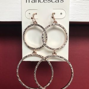Francesca’s earnings